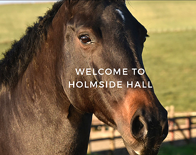 Holmside Hall Riding school